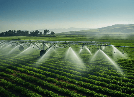 Imagem da categoria Mangueiras de PVC