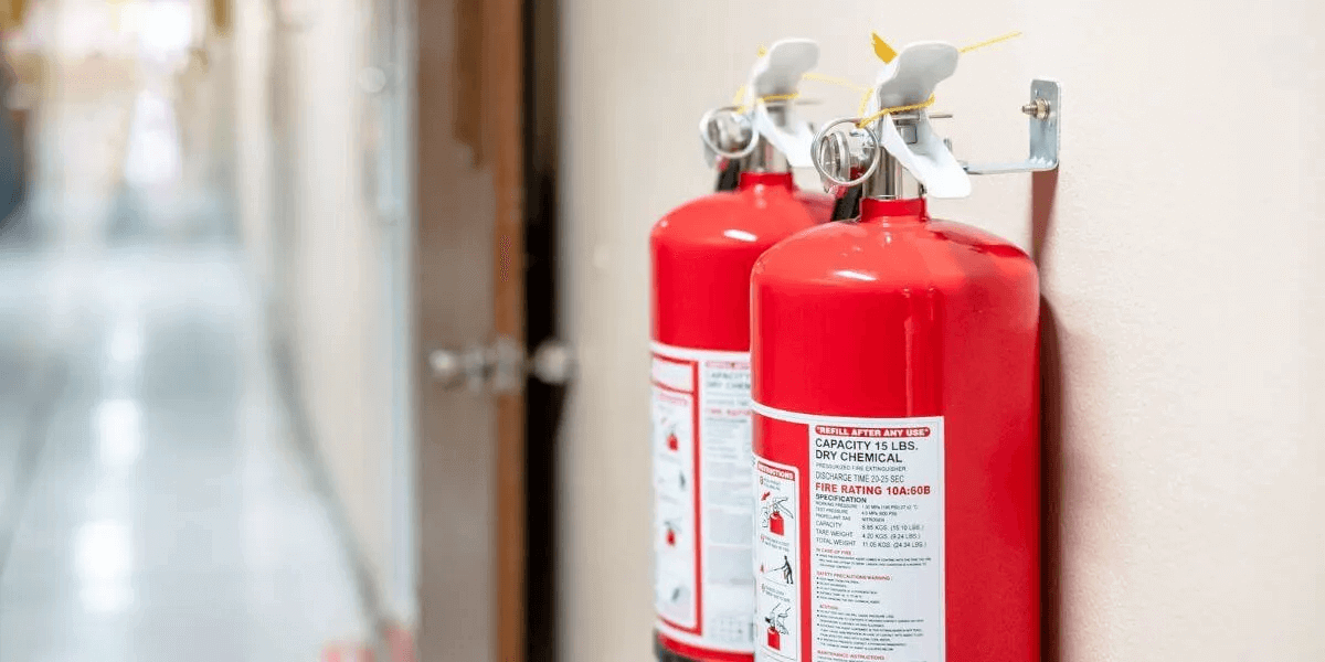 Galeria de Fotos Nasha